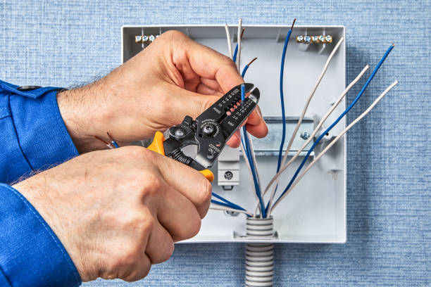 Best Electrical Panel Upgrades  in Grape Creek, TX